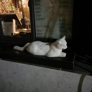 老人性交免费看
